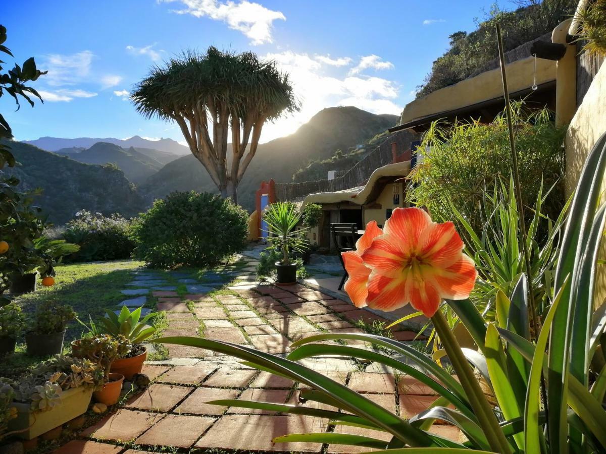 Vivelorural Casa La Cuevita, * Santa Brigida (Gran Canaria)