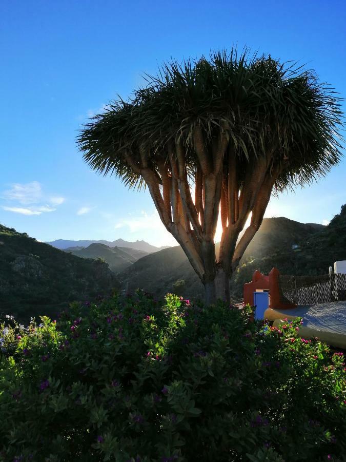 Casa rural La Cuevita *